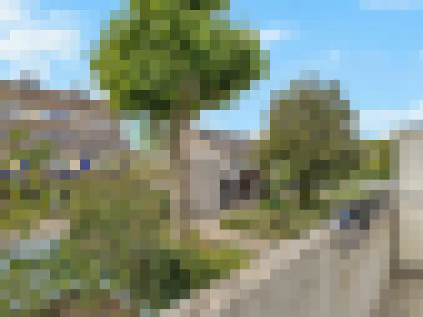 Bloemstede 688 Maarssen thumbnail 15