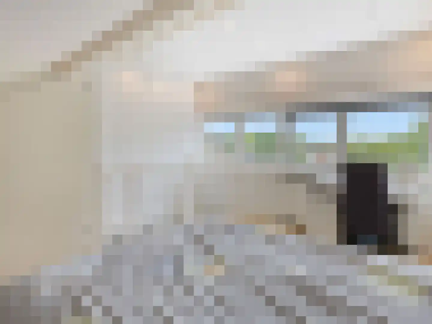 Bloemstede 688 Maarssen thumbnail 32