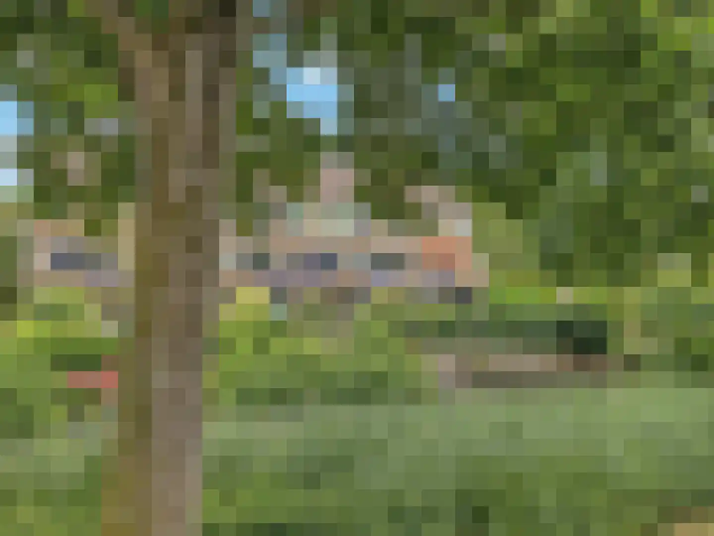 Bloemstede 688 Maarssen thumbnail 34