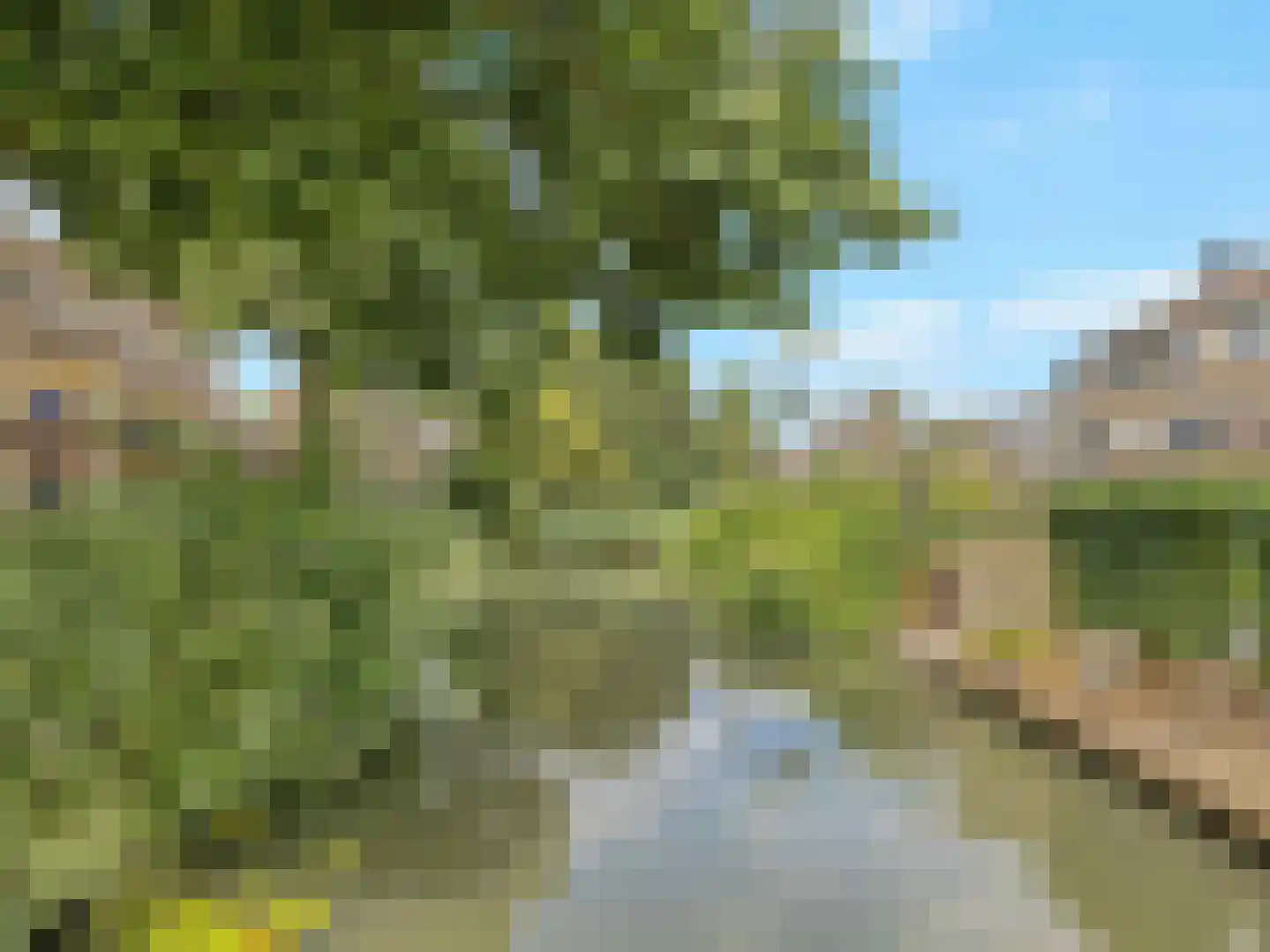 Bloemstede 688 Maarssen thumbnail 35