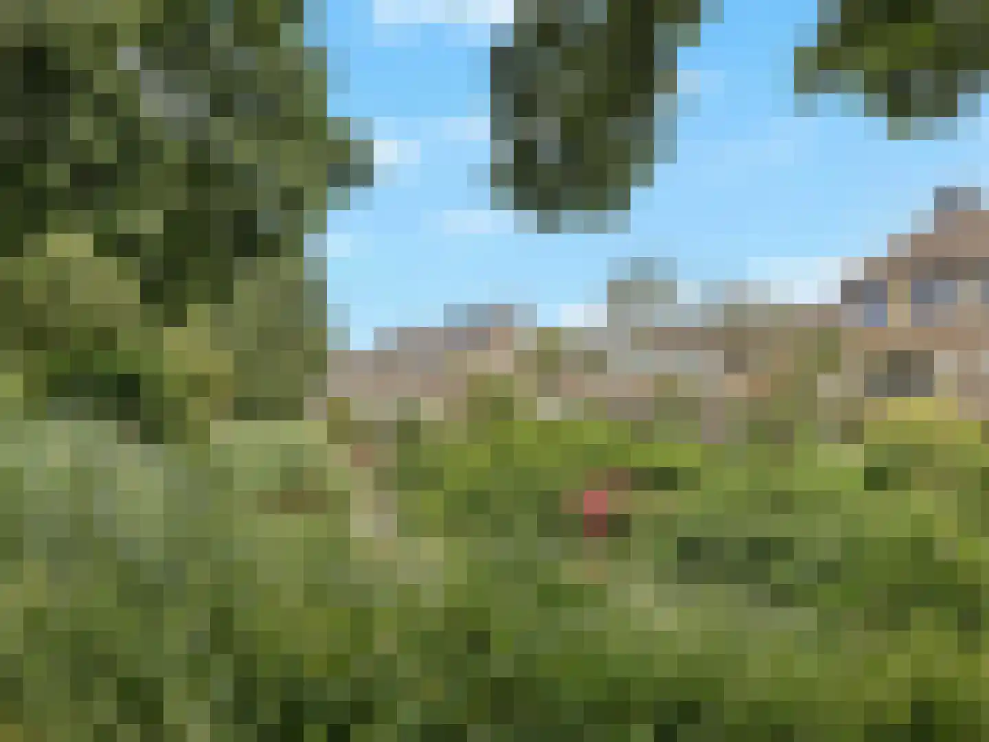 Bloemstede 688 Maarssen thumbnail 36