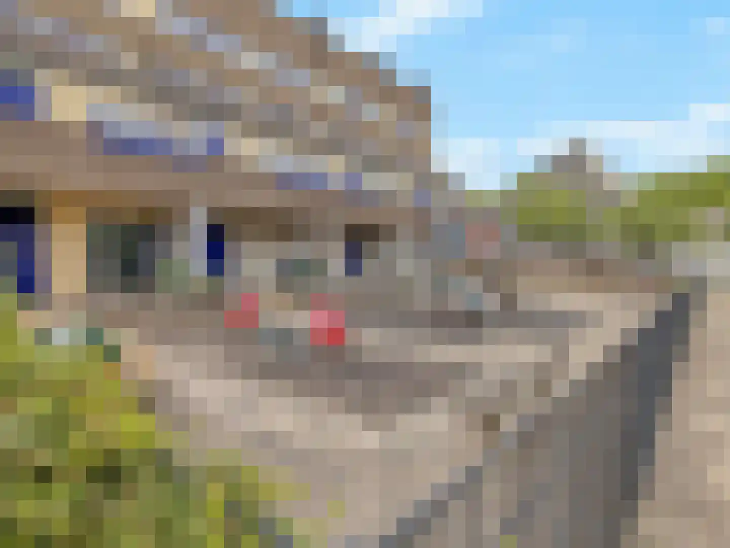 Bloemstede 688 Maarssen thumbnail 39