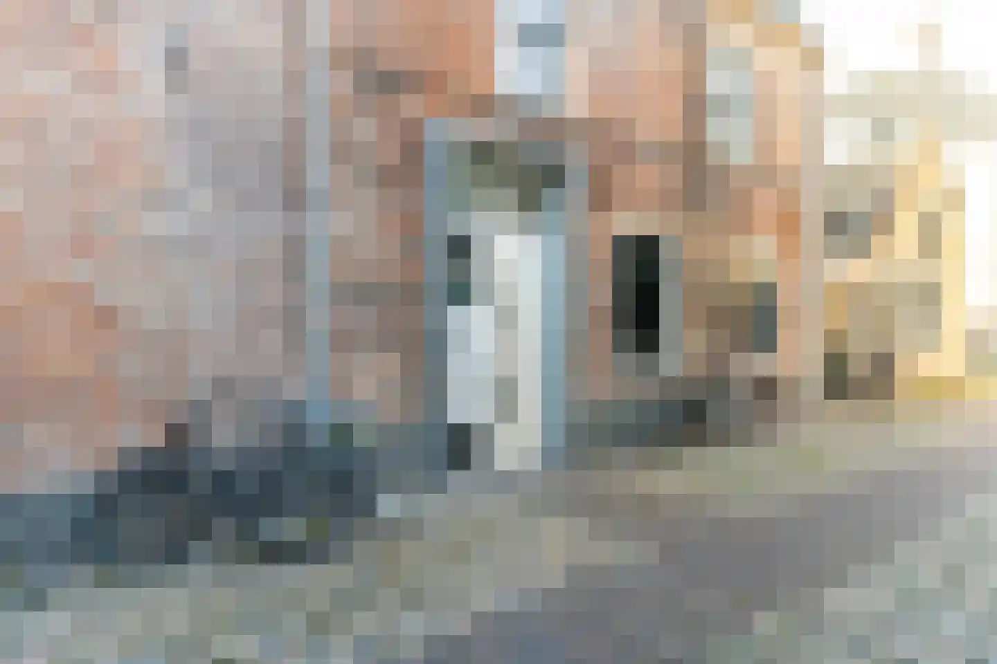Bloemsteeg 4 Elburg thumbnail 11