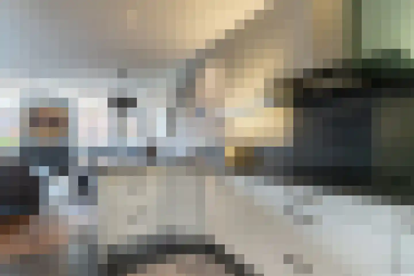 Bloemsteeg 4 Elburg thumbnail 24