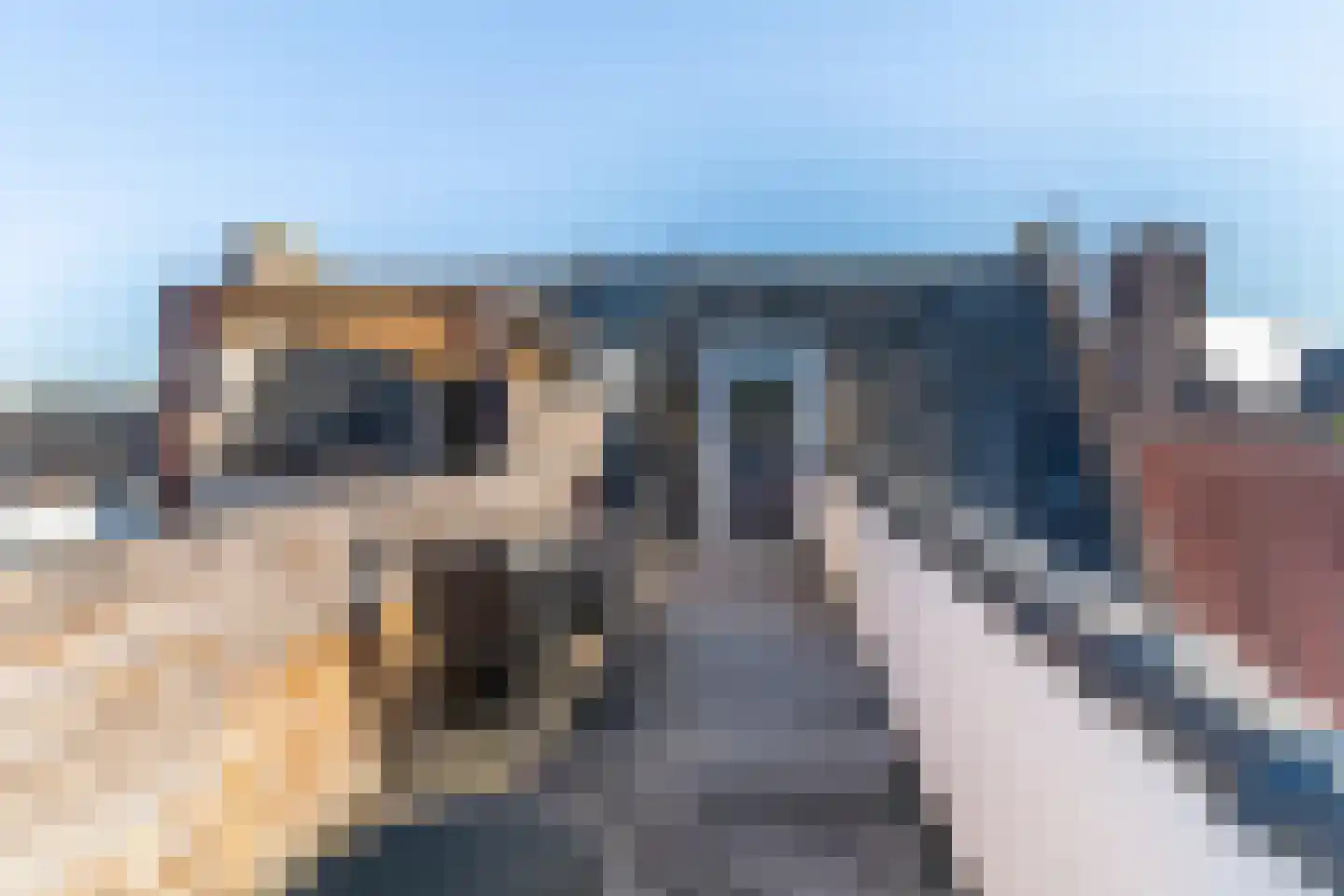 Bloemsteeg 4 Elburg thumbnail 4
