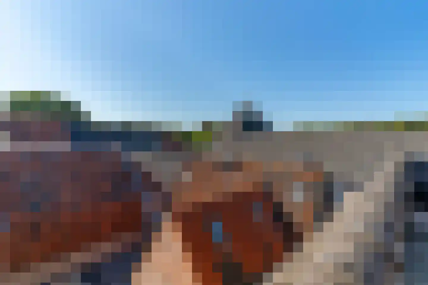 Bloemsteeg 4 Elburg thumbnail 41
