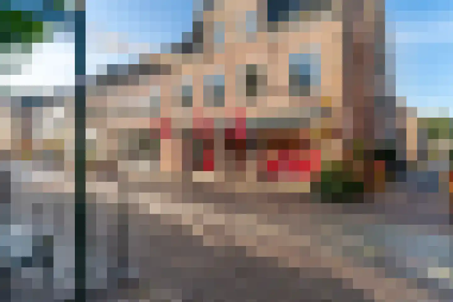 Bloemsteeg 4 Elburg thumbnail 9