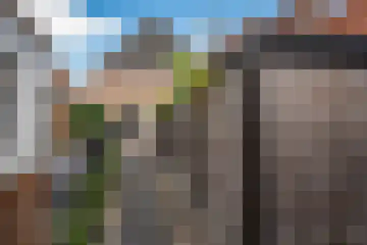 Bloemsteeg 7 C Elburg thumbnail 25