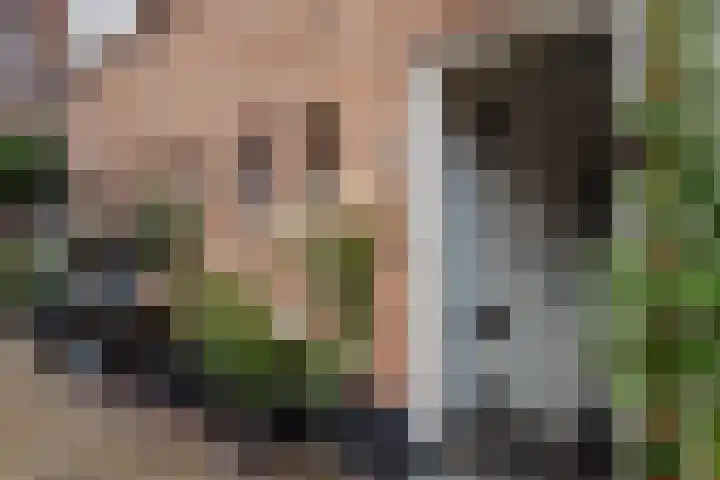 Bloemsteeg 7 C Elburg thumbnail 27