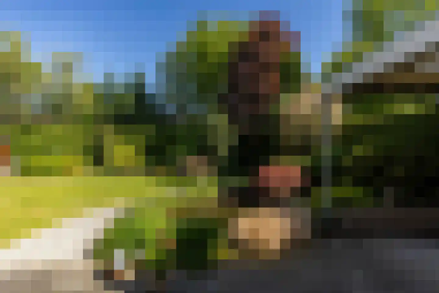 Bloemstok 6 Veldhoven thumbnail 42