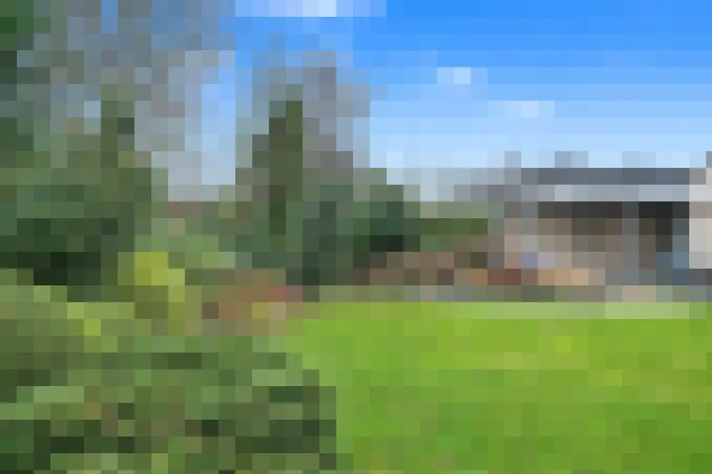 Bloemstok 6 Veldhoven thumbnail 43