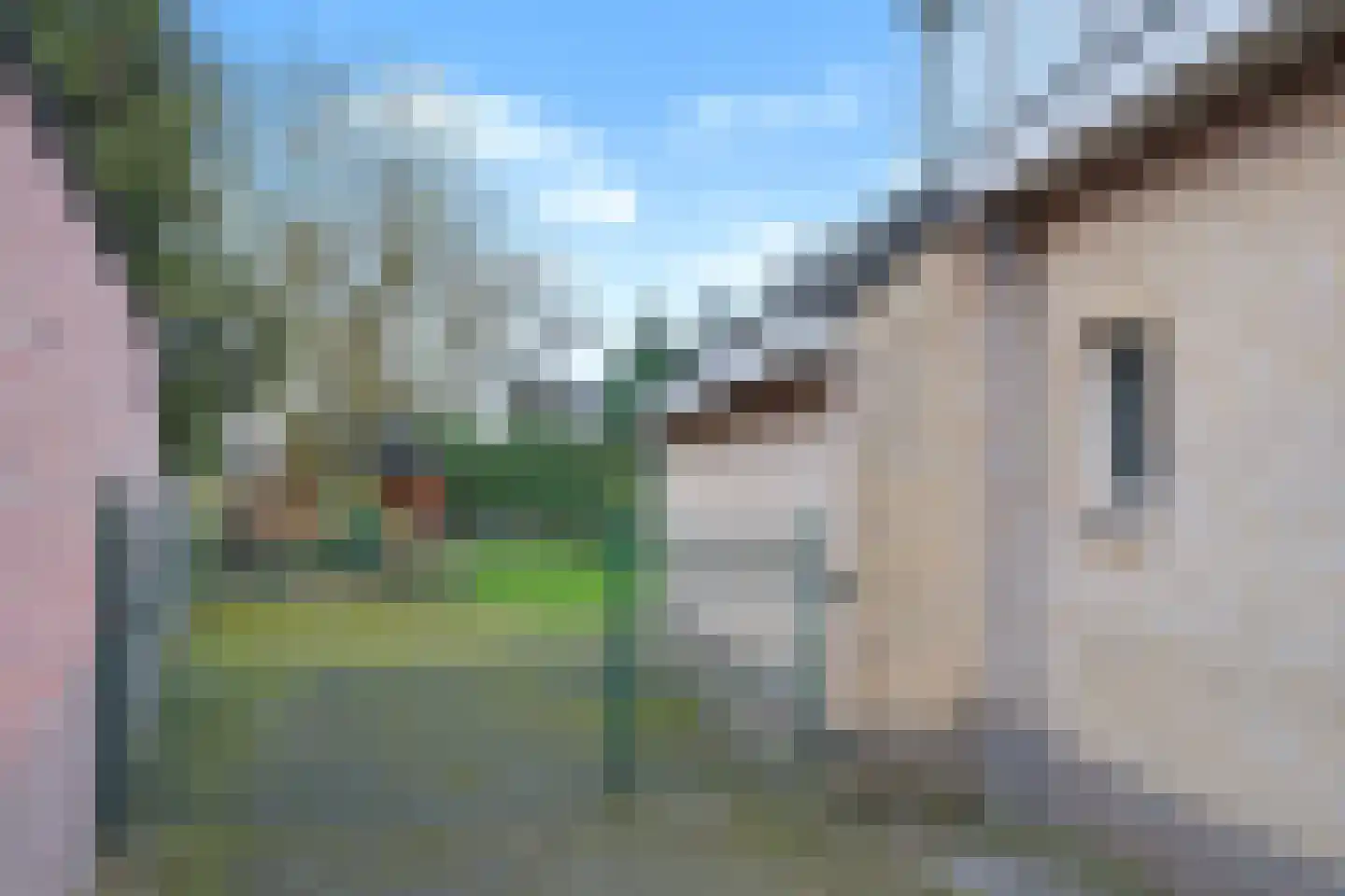 Bloemstok 6 Veldhoven thumbnail 45