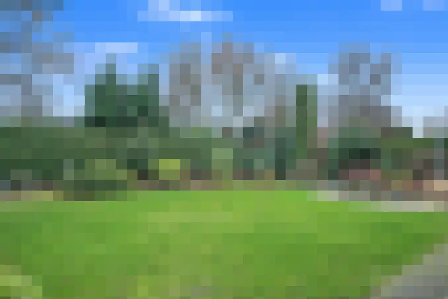 Bloemstok 6 Veldhoven thumbnail 46