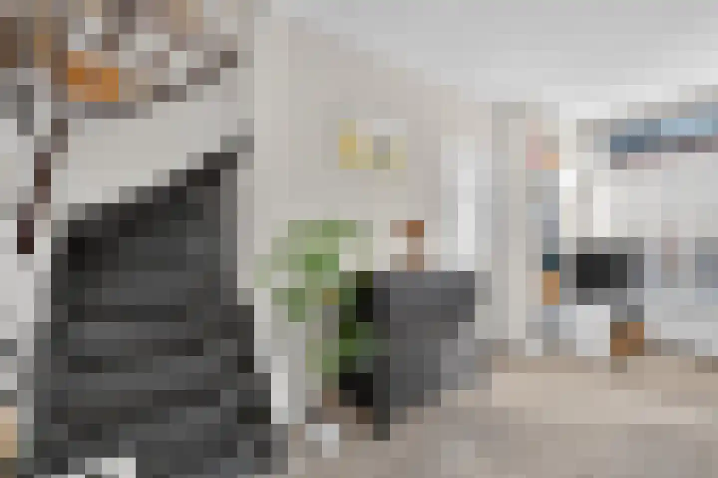 Bloemstraat 1 Leiden thumbnail 11