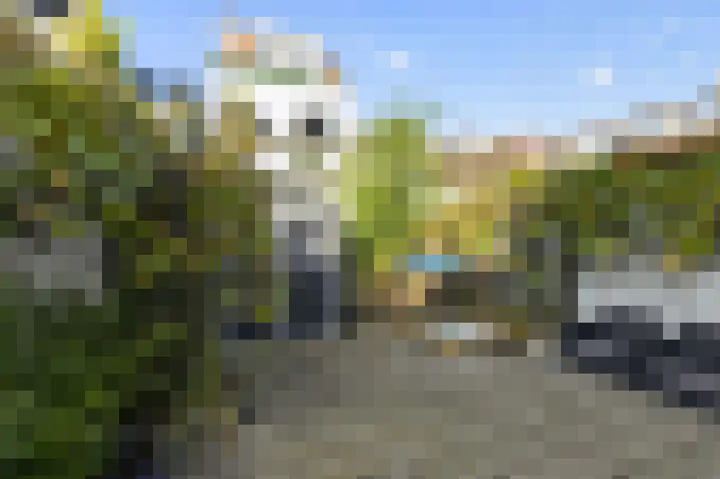 Bloemstraat 1 Leiden thumbnail 18