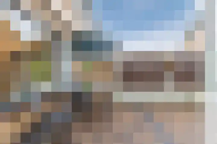 Bloemstraat 10 Waarland thumbnail 22