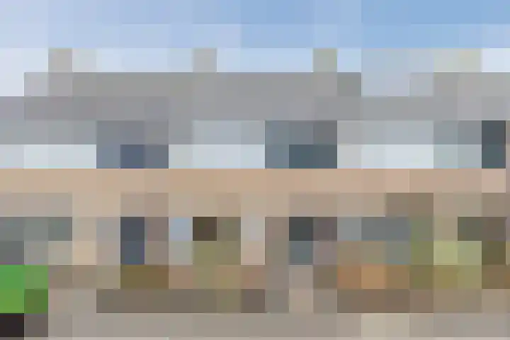 Bloemstraat 10 Waarland thumbnail 33