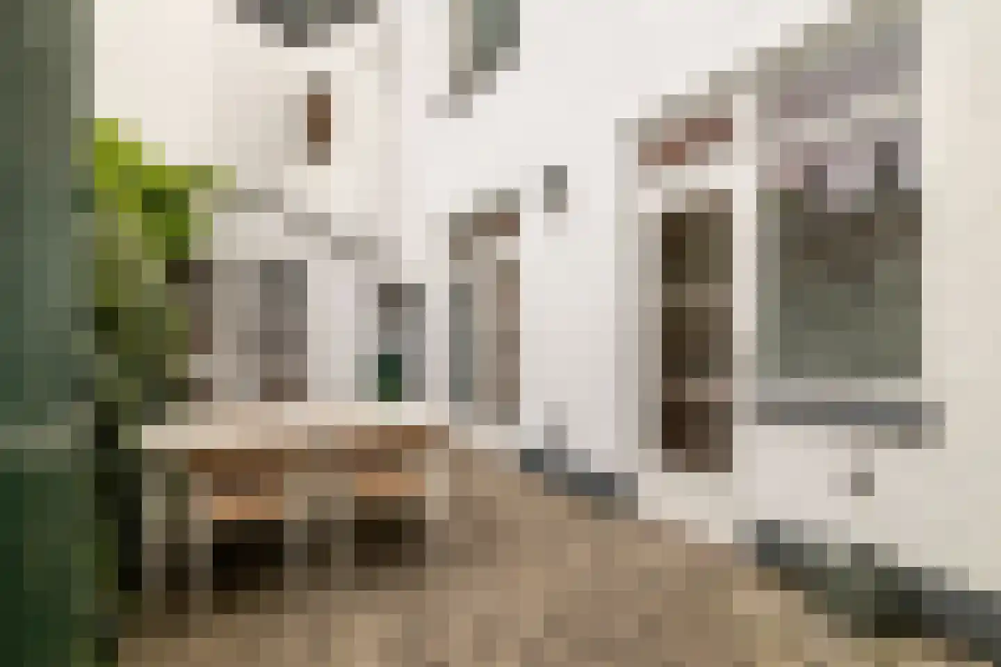 Bloemstraat 12 Breda thumbnail 21