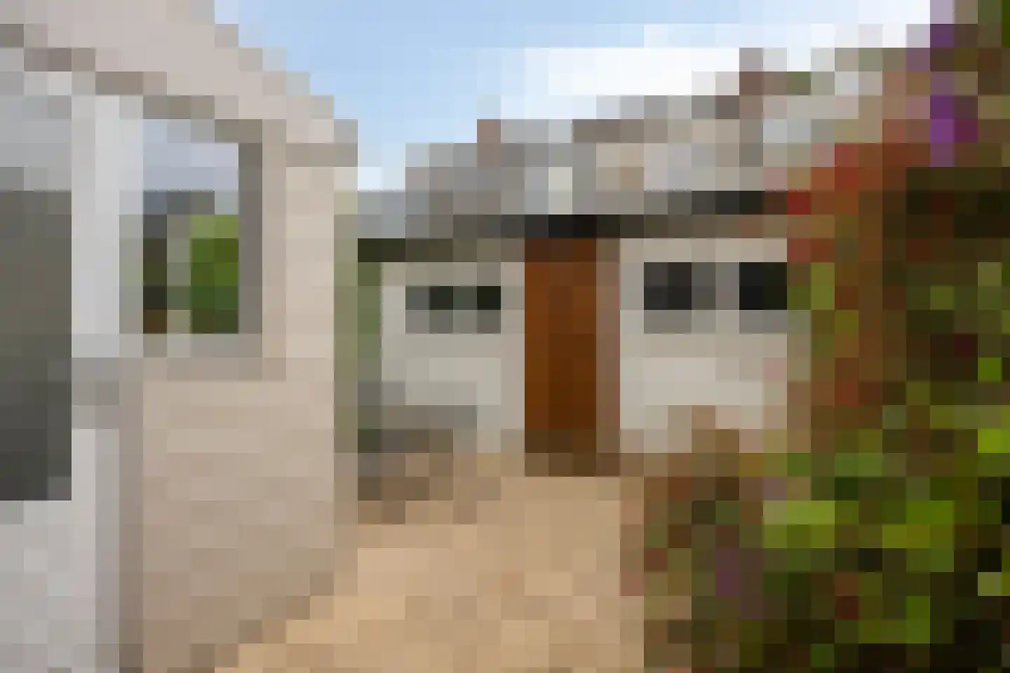 Bloemstraat 12 Dordrecht thumbnail 20