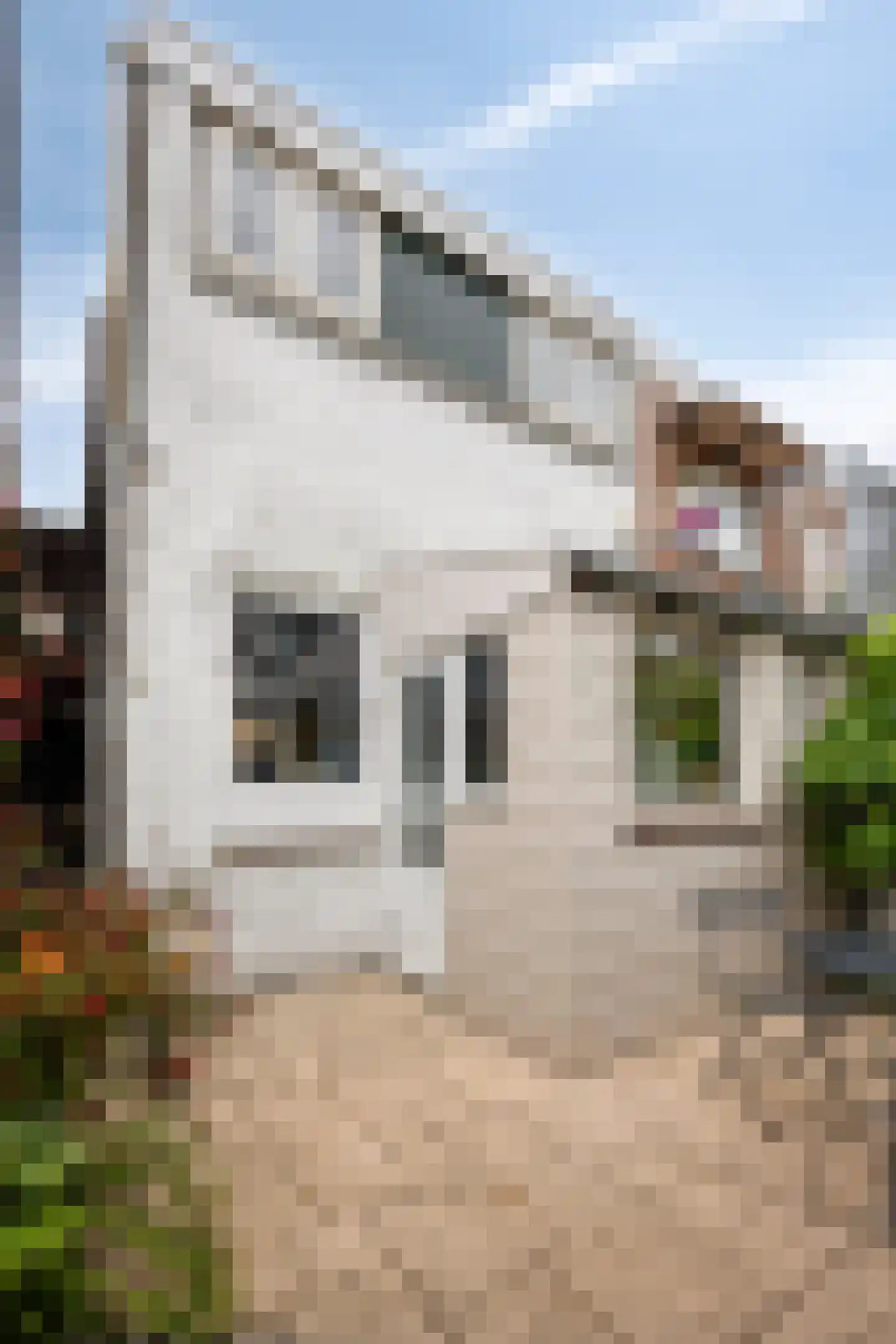Bloemstraat 12 Dordrecht thumbnail 22