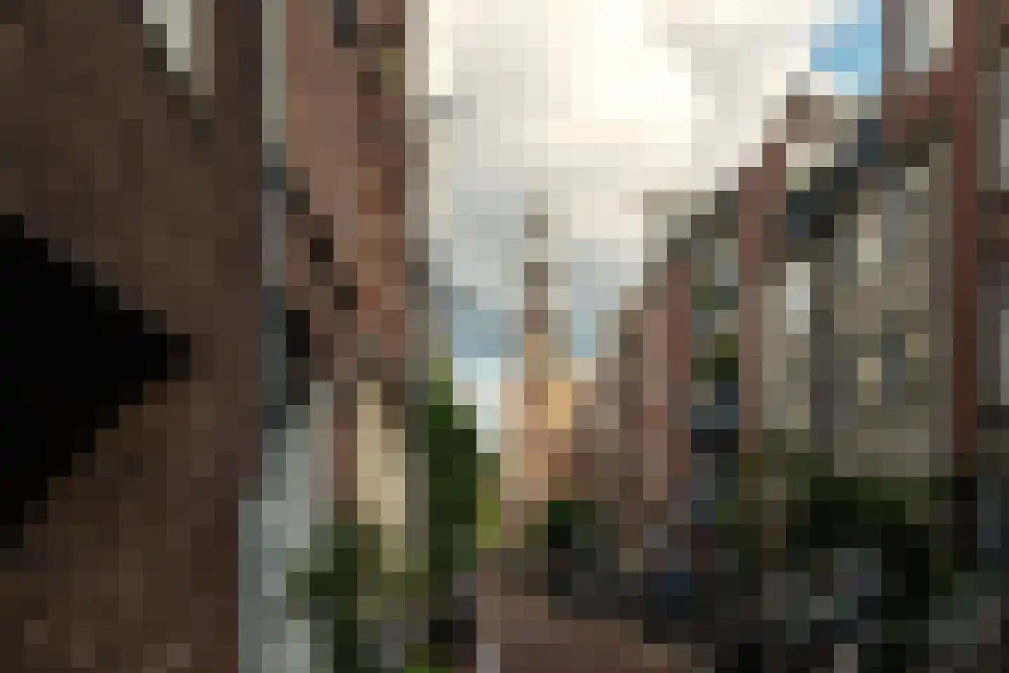 Bloemstraat 123 C Amsterdam thumbnail 16