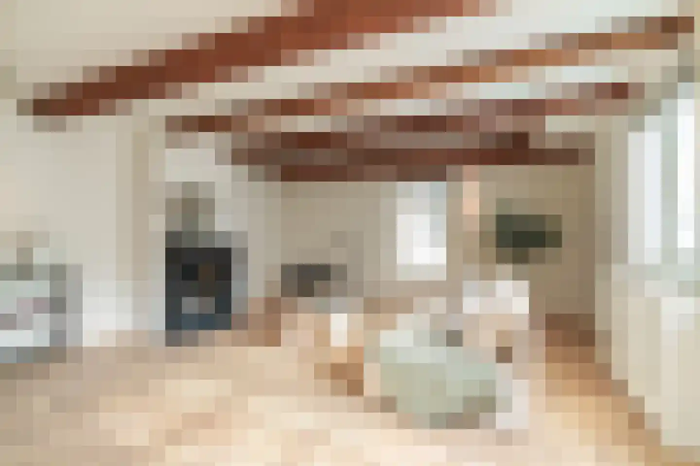 Bloemstraat 123 C Amsterdam thumbnail 4