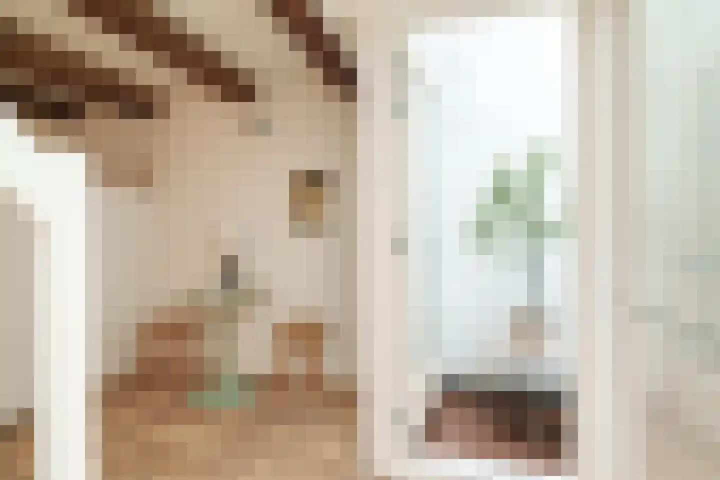 Bloemstraat 123 C Amsterdam thumbnail 9