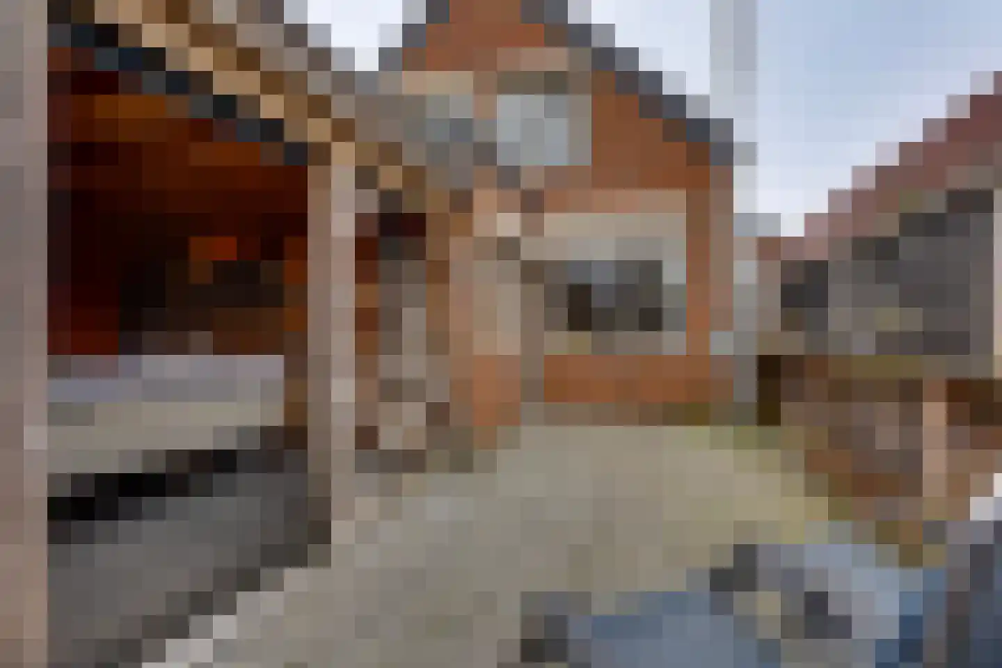 Bloemstraat 13 Rijssen thumbnail 32