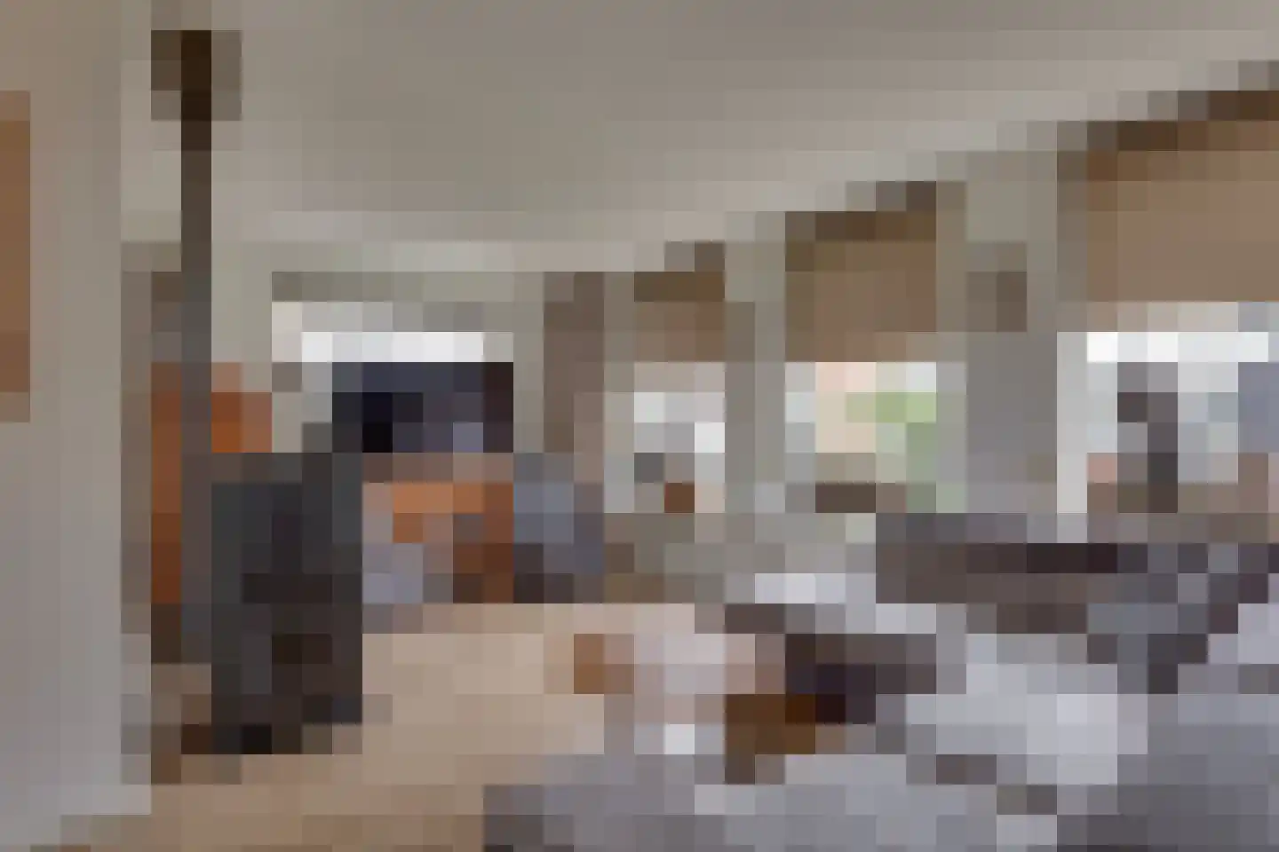 Bloemstraat 13 Rijssen thumbnail 7
