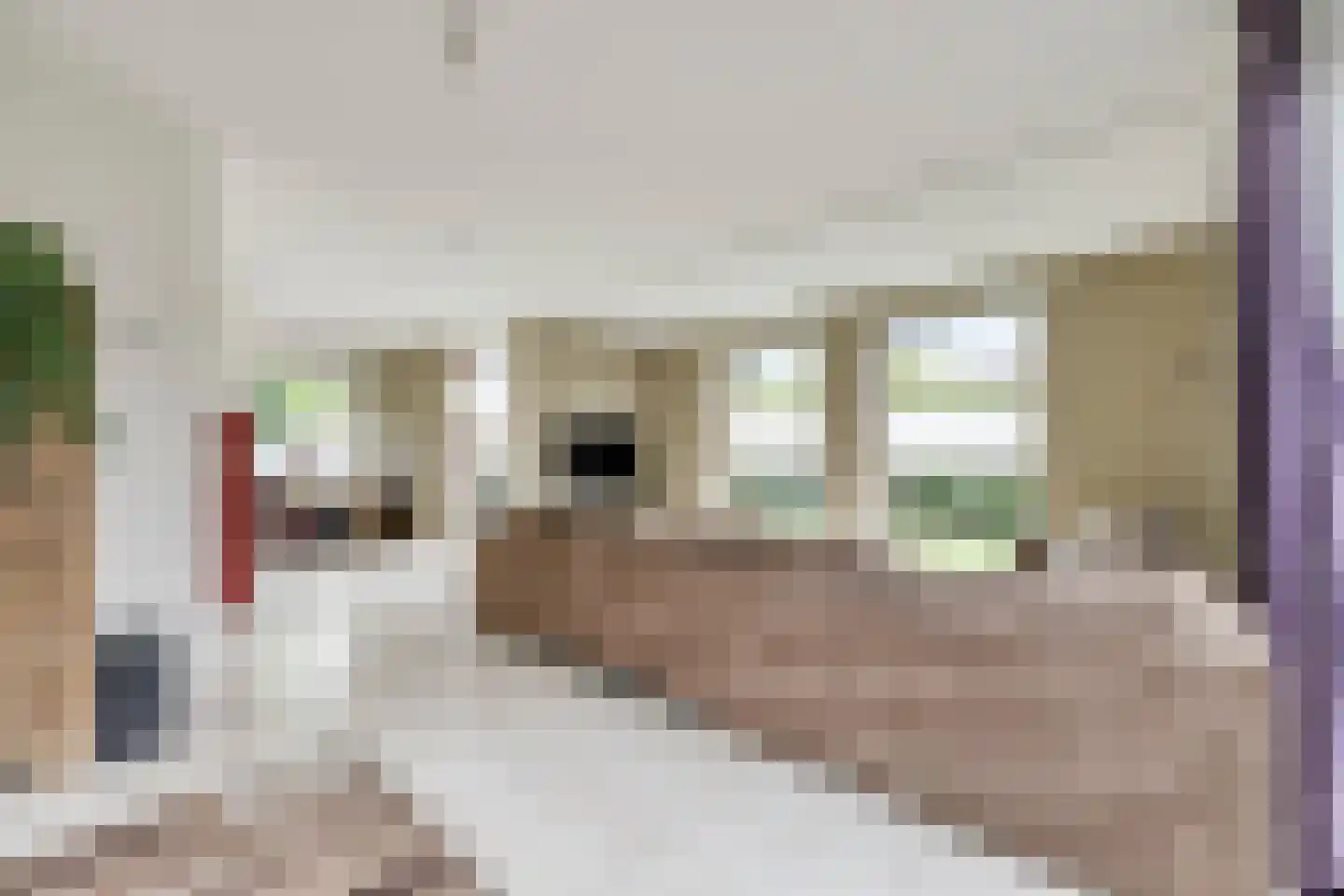 Bloemstraat 14 g Huissen thumbnail 9
