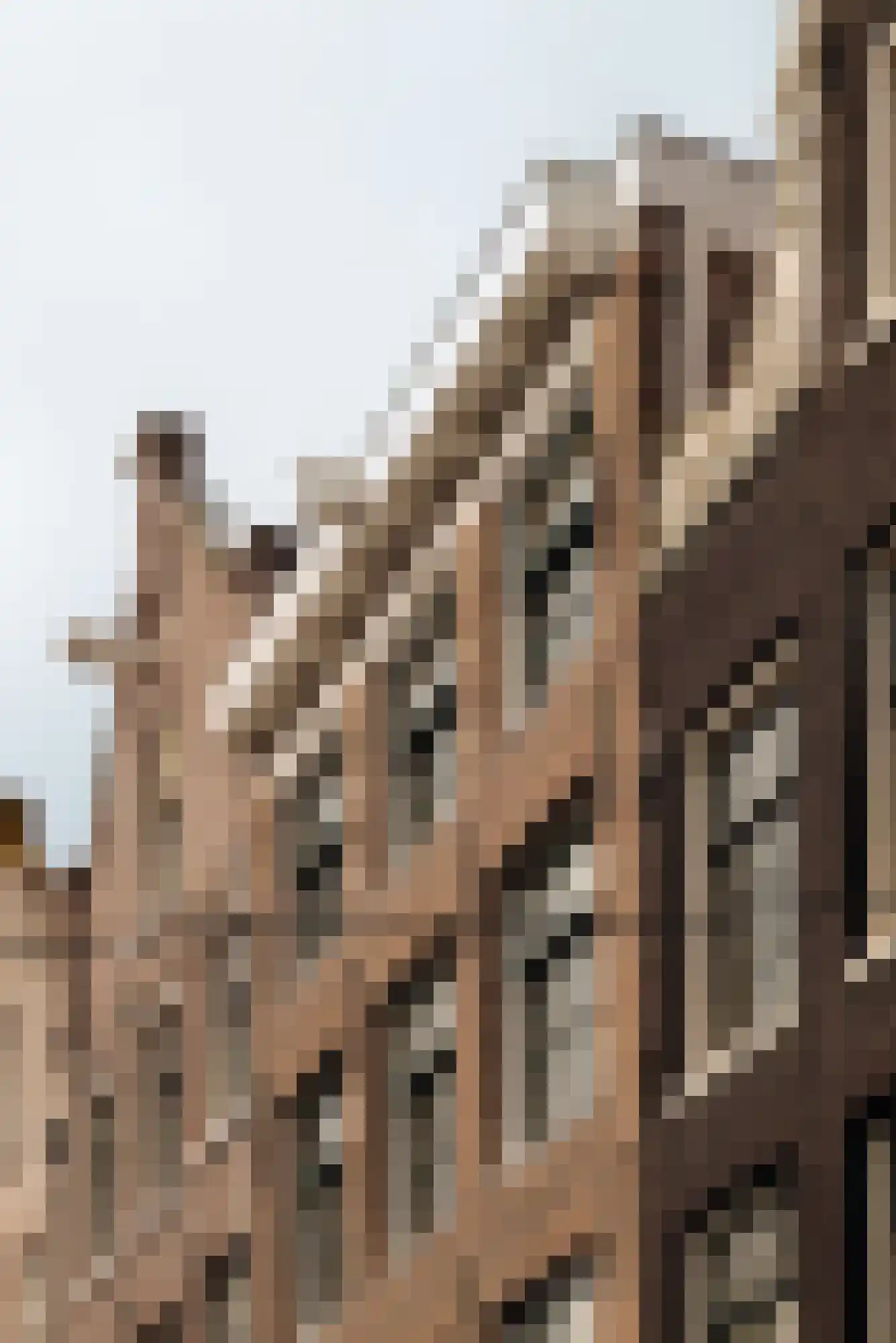 Bloemstraat 154 Amsterdam thumbnail 13
