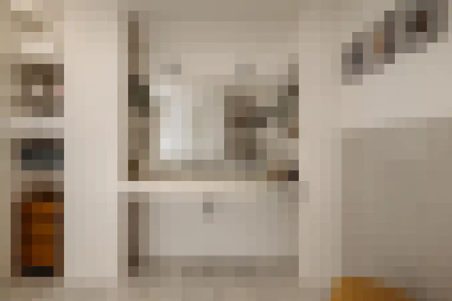 Bloemstraat 154 Amsterdam thumbnail 37