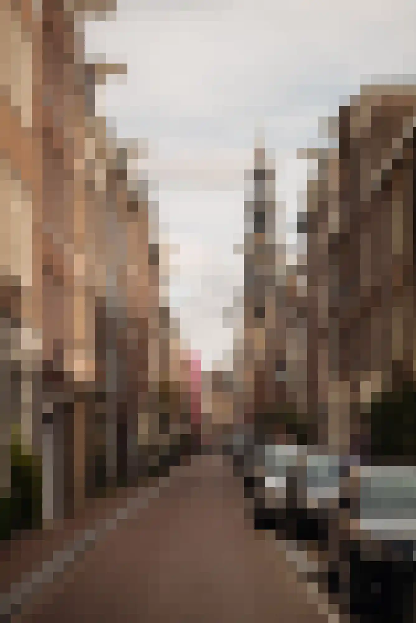 Bloemstraat 154 Amsterdam thumbnail 60
