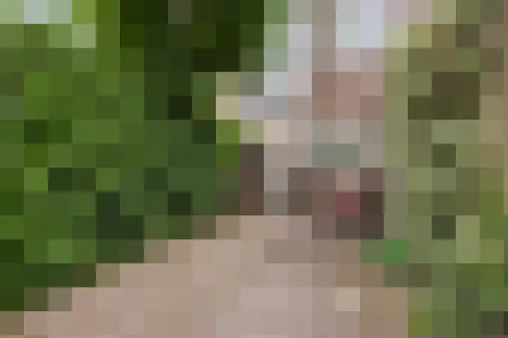 Bloemstraat 16 Hilversum thumbnail 30