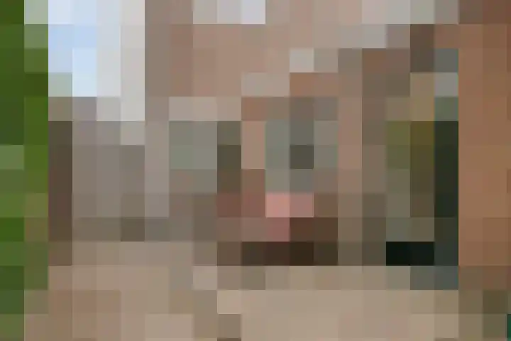 Bloemstraat 16 Hilversum thumbnail 31