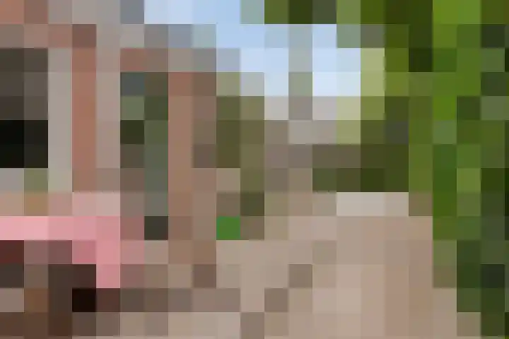 Bloemstraat 16 Hilversum thumbnail 33