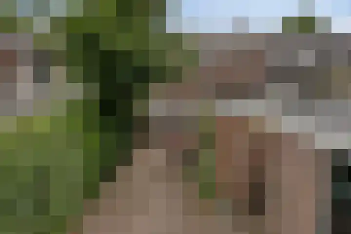 Bloemstraat 16 Hilversum thumbnail 35