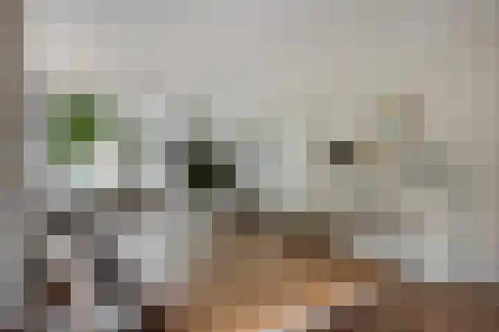 Bloemstraat 16 Hilversum thumbnail 9