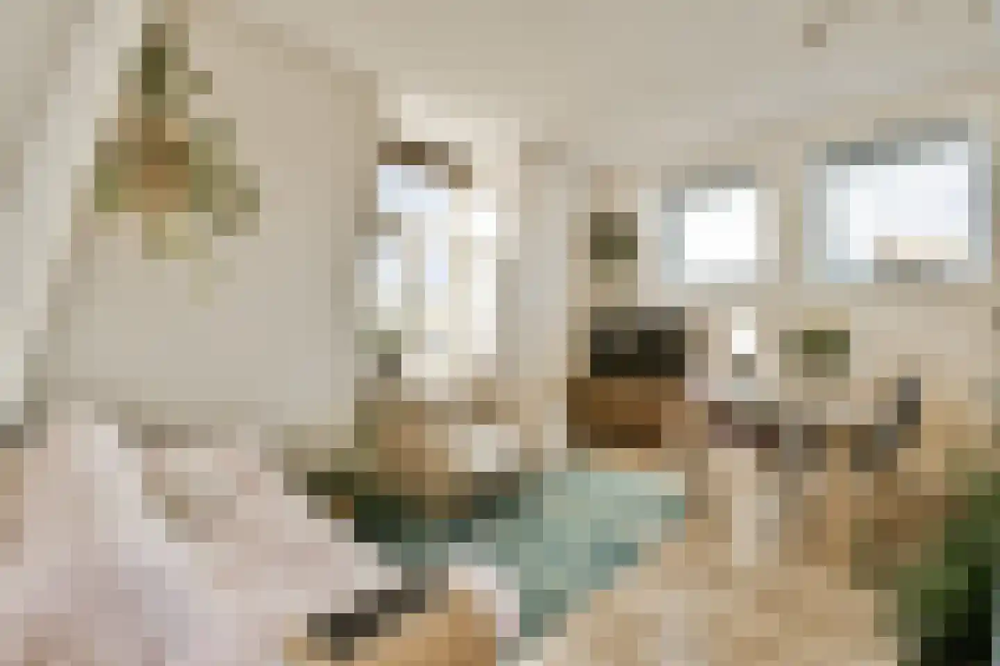 Bloemstraat 166 C Amsterdam thumbnail 5
