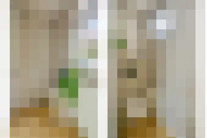 Bloemstraat 18 Zwolle thumbnail 13