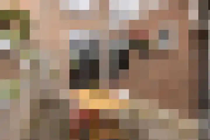 Bloemstraat 18 Zwolle thumbnail 32