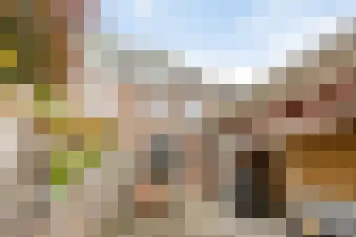 Bloemstraat 18 Zwolle thumbnail 33