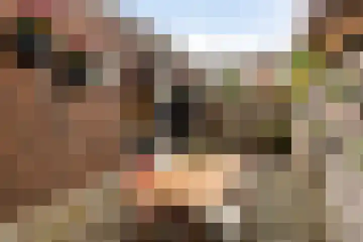 Bloemstraat 18 Zwolle thumbnail 35