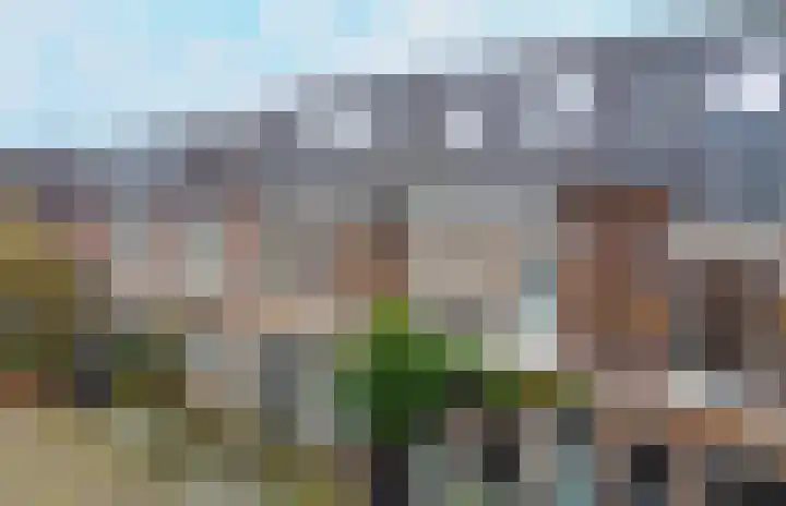 Bloemstraat 18 Zwolle thumbnail 36