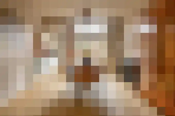 Bloemstraat 18 Zwolle thumbnail 6