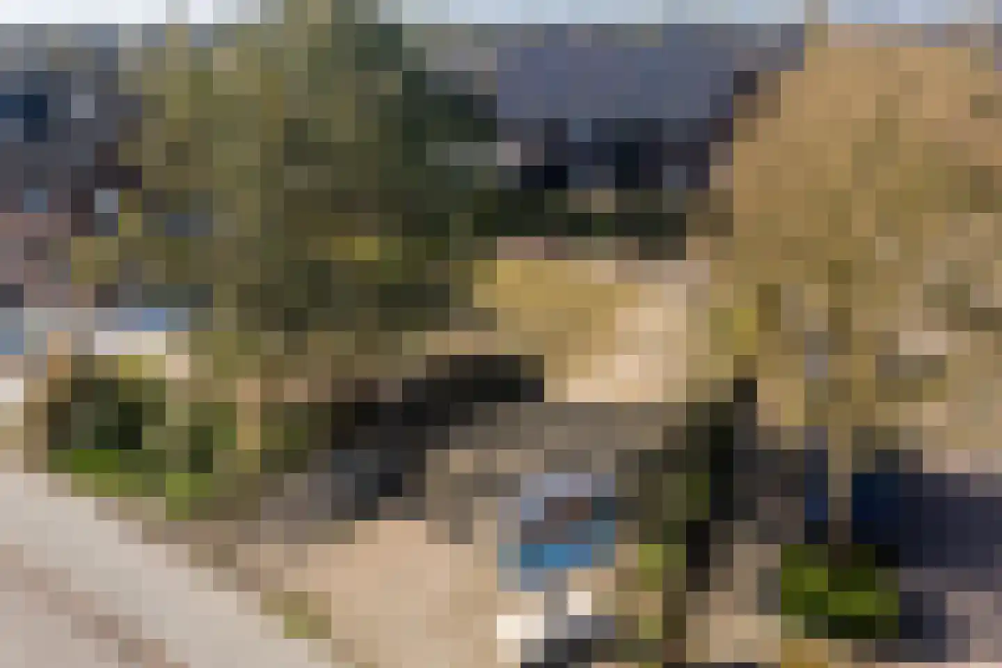 Bloemstraat 2 A Huissen thumbnail 24