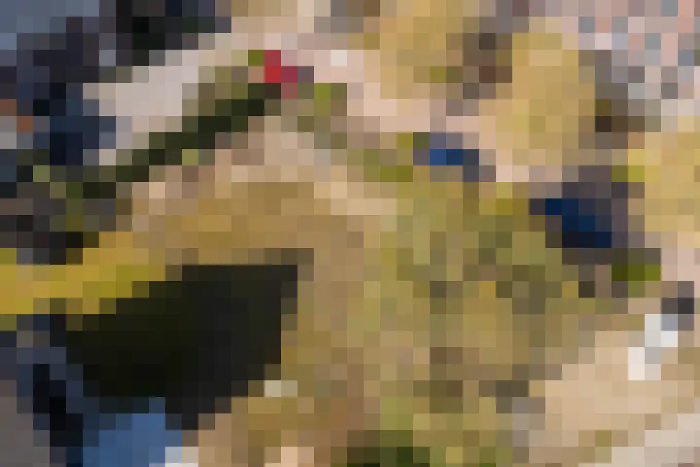 Bloemstraat 2 A Huissen thumbnail 25