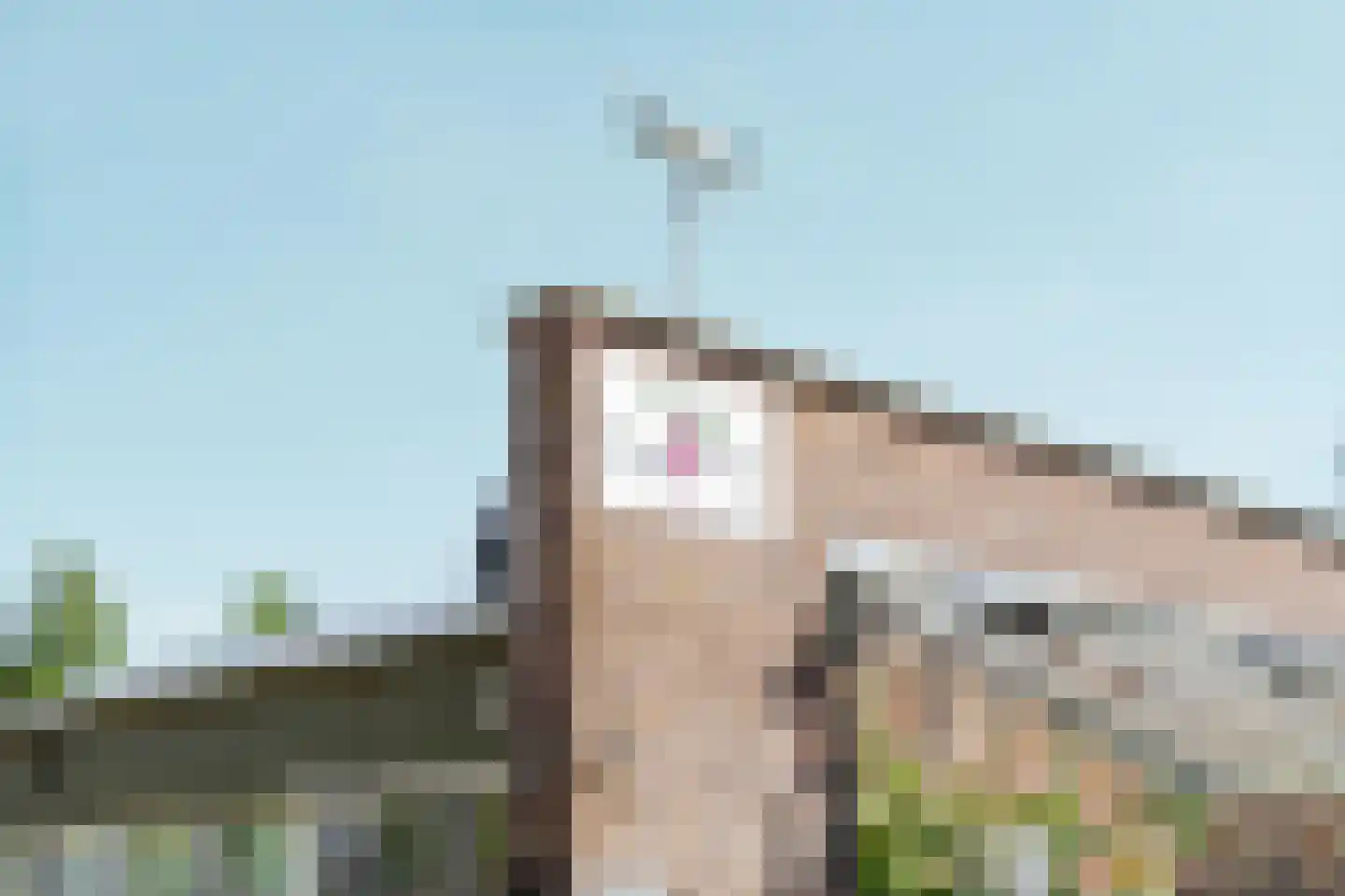 Bloemstraat 2 A Huissen thumbnail 31