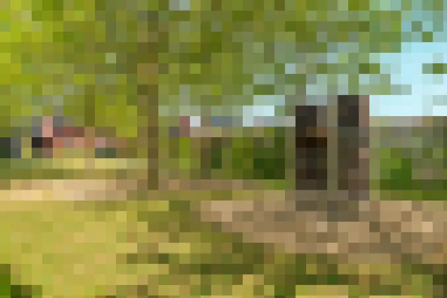 Bloemstraat 2 A Huissen thumbnail 34