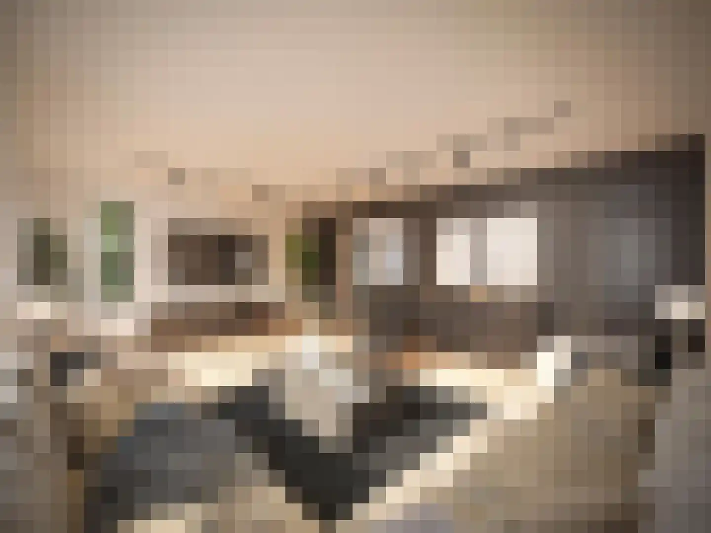 Bloemstraat 2 A Huissen thumbnail 4
